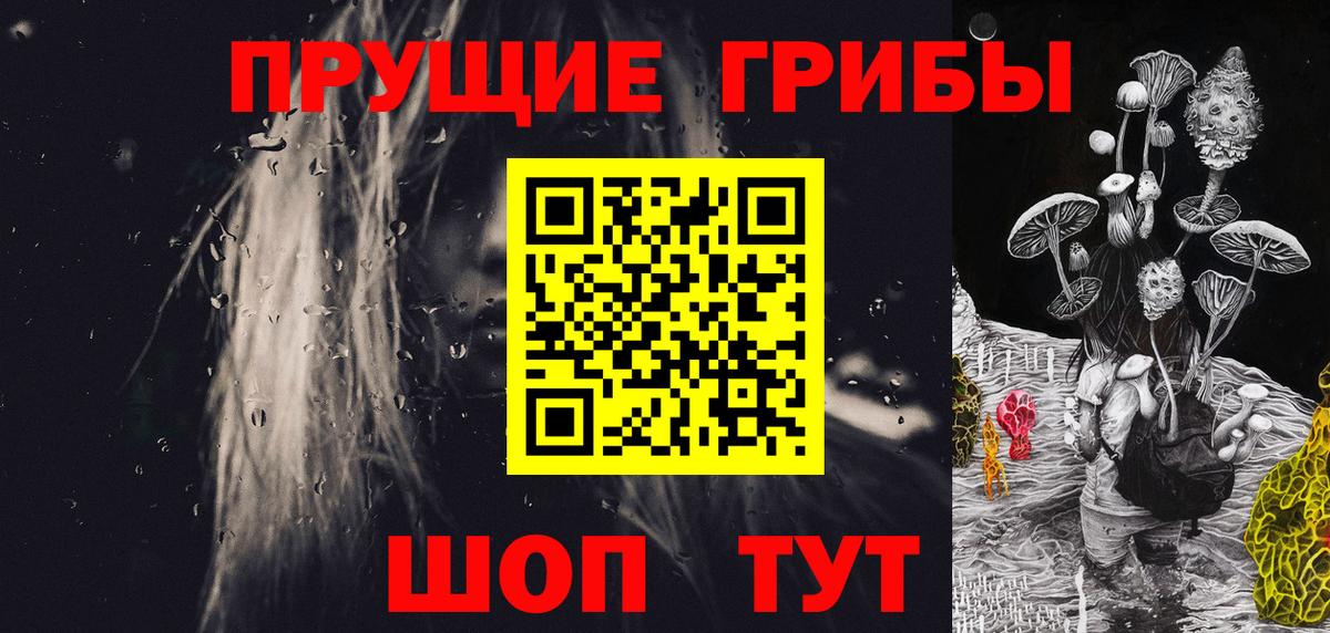 Галлюциногенные грибы Cubensis  продажа наркотиков  Вход с VPN  Гулькевичи  Псилоцибиновые грибы мицелий 